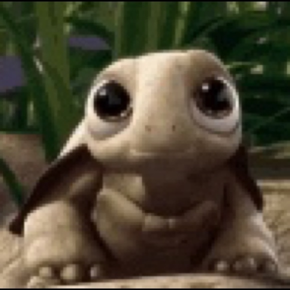 turtle_forever